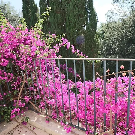 فندق مبيت وإفطار Relais Delle Rose 2*