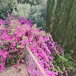 Relais Delle Rose 레체
