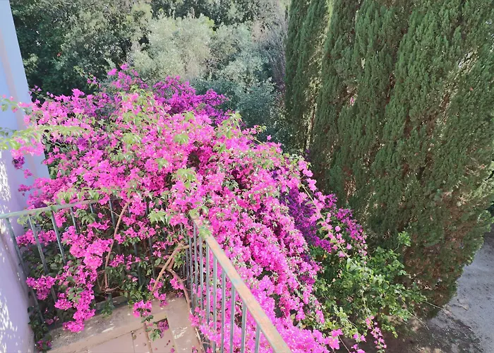 Relais Delle Rose 레체