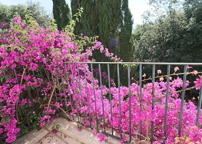 B&B Relais Delle Rose 레체